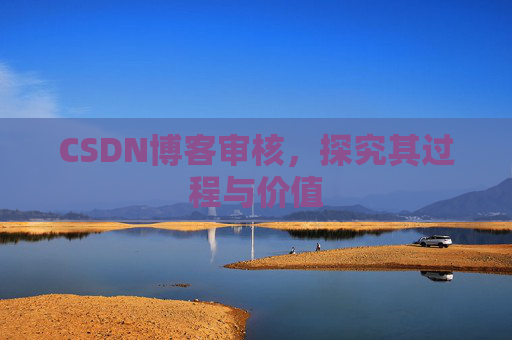 CSDN博客审核，探究其过程与价值